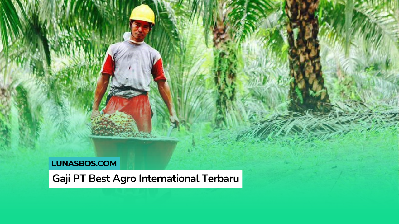 Gaji PT Best Agro International